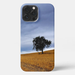 Tree in a wheat field iPhone 13 pro max case