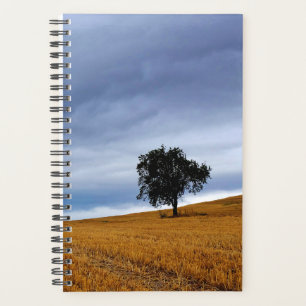 Tree in a wheat field planner