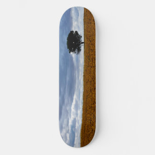 Tree in an empty field skateboard