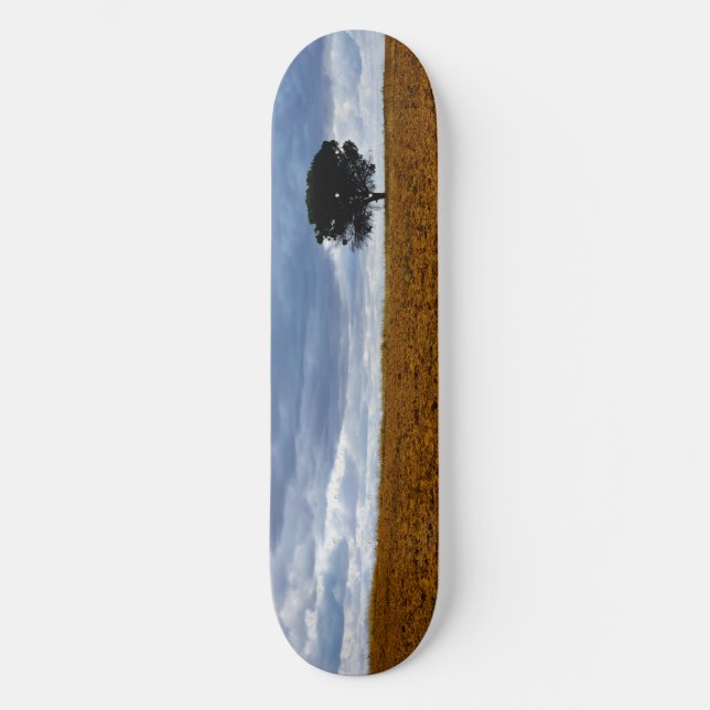 Tree in an empty field skateboard (Front)