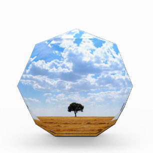 Tree in an harvested wheat field photo block