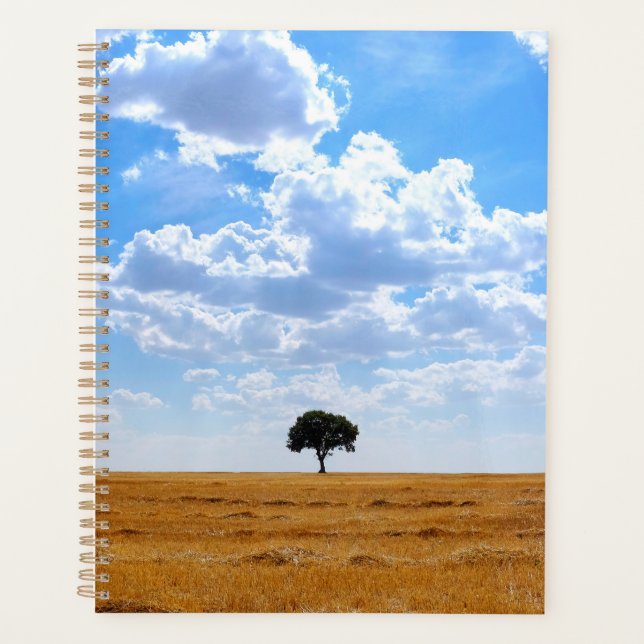 Tree in an harvested wheat field  planner (Front)