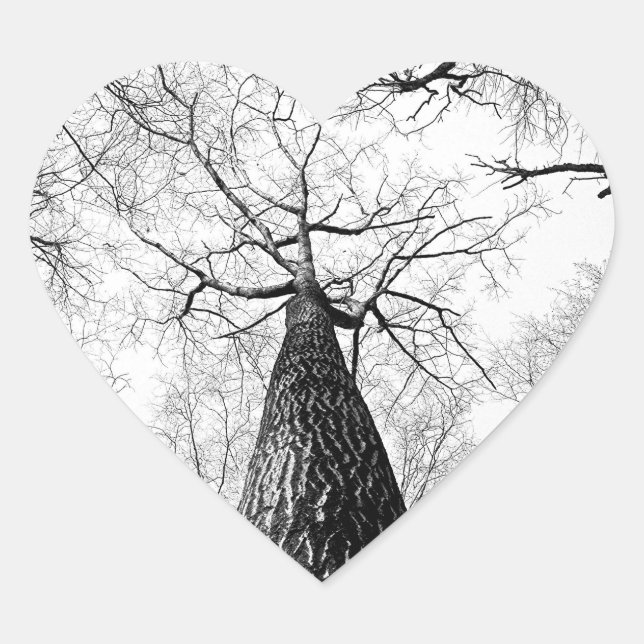 Tree in black and white heart sticker (Front)