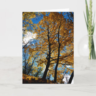 Tree in Foliage Greeting Card