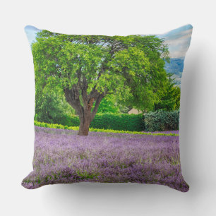Tree in Lavender Field, France Throw Pillow