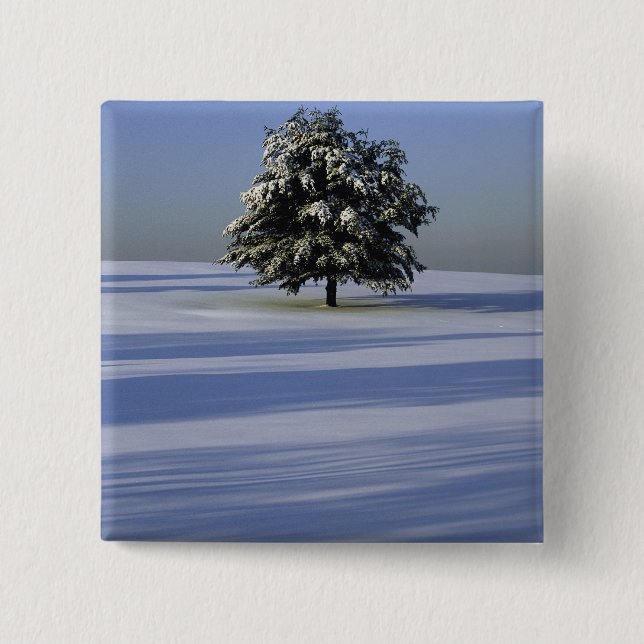 Tree in snow covered landscape 2 inch square button (Front)