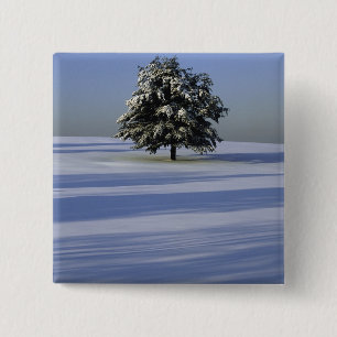 Tree in snow covered landscape 2 inch square button