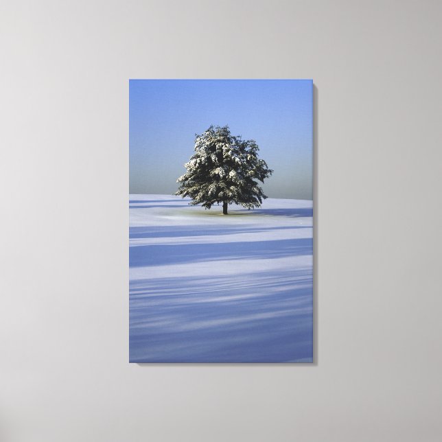 Tree in snow covered landscape canvas print (Front)