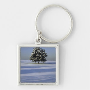 Tree in snow covered landscape keychain