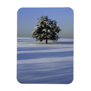 Tree in snow covered landscape magnet