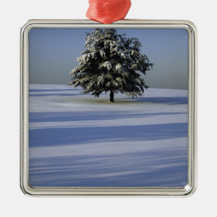 Tree in snow covered landscape metal ornament