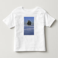 Tree in snow covered landscape