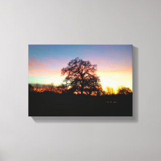 tree in sunset canvas print