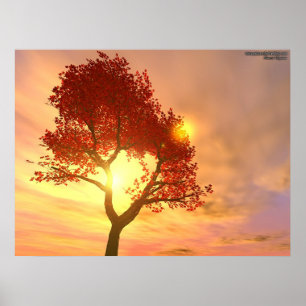 Tree In Sunset Poster