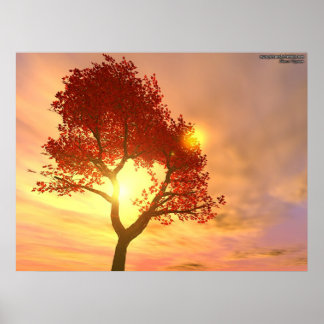 Tree In Sunset Poster
