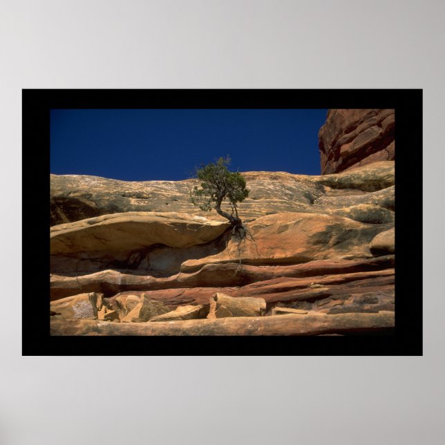 Tree in the wall poster (Front)