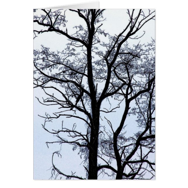 Tree in winter (Front)