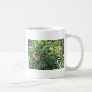 Tree, Italy Coffee Mug