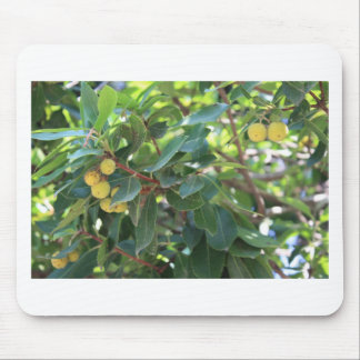 Tree, Italy Mouse Pad