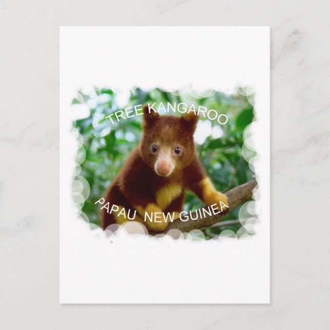 Tree kangaroo postcard (Front)