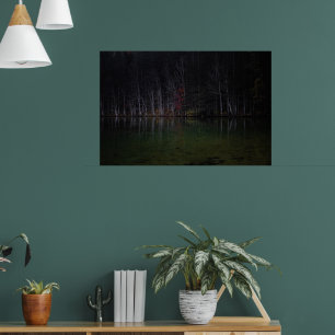 Tree landscape at lake poster