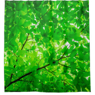 Tree leaf twig texture pattern
