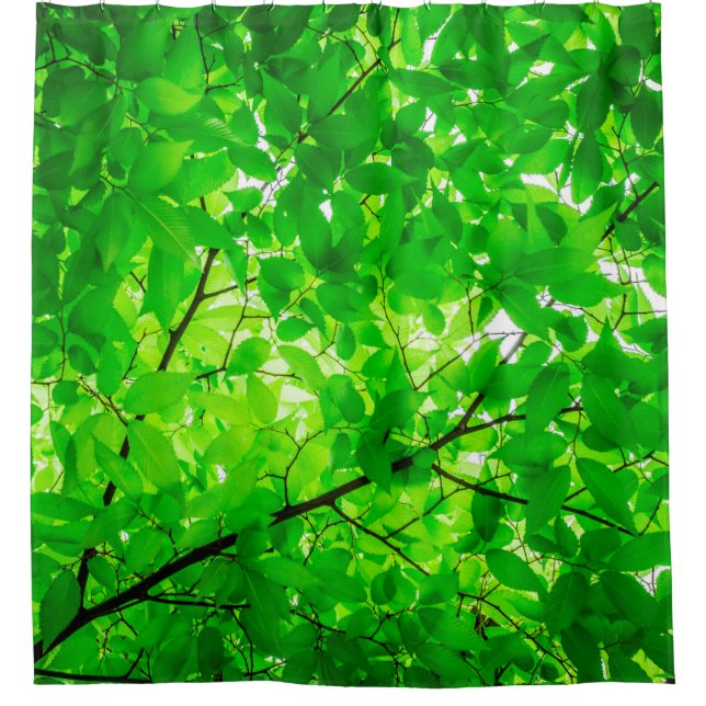 Tree leaf twig texture pattern (Front)