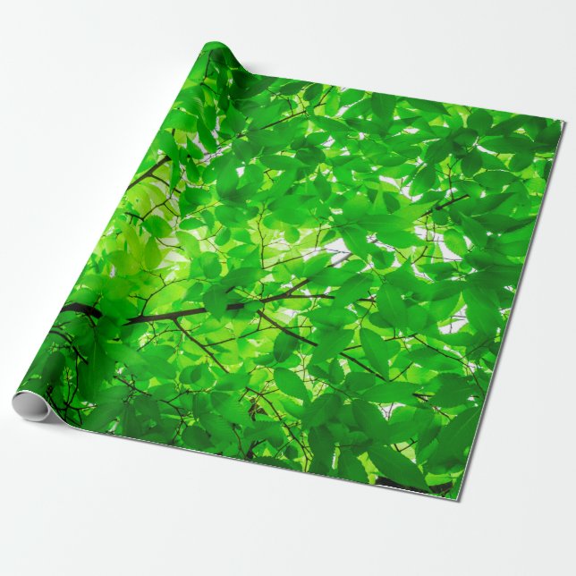 Tree leaf twig texture pattern wrapping paper (Unrolled)