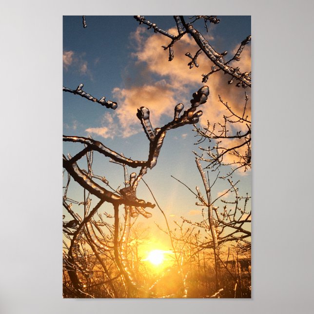 tree limb icicles poster (Front)