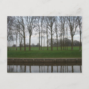 Tree Line Canal Postcard