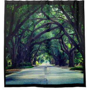 TREE LINED AVENUE