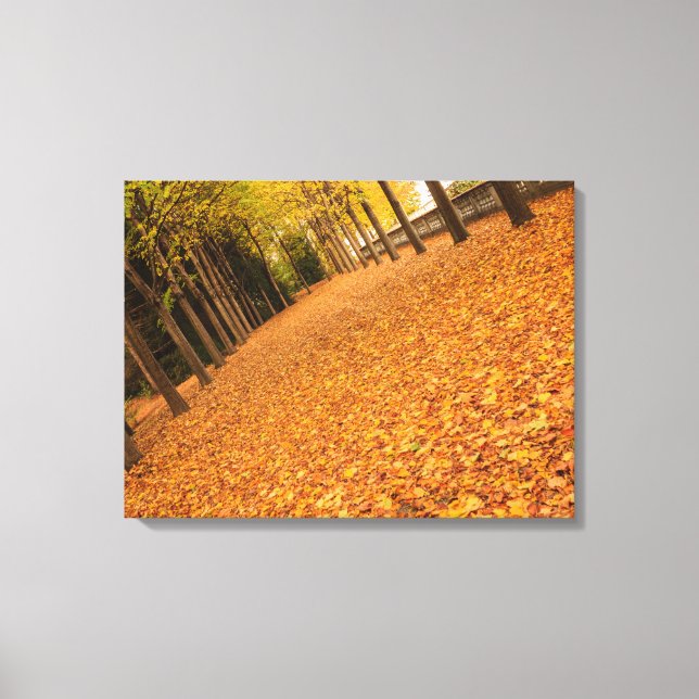 tree-lined avenue with leaves on canvas print (Front)