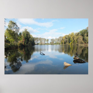 Tree Lined Lake Poster