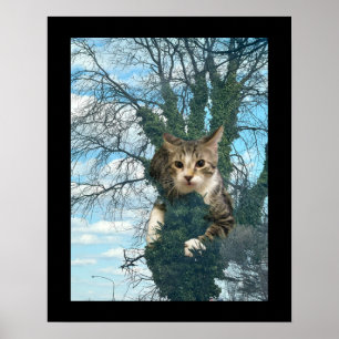 Tree Looks Like a Hand with Cat Poster