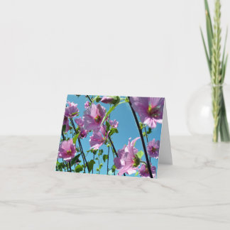 Tree Mallow (Lavatera arborea) Card