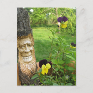 Tree man Postcard