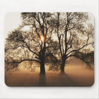 Tree Mouse Pad