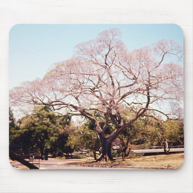 tree mousepad (Front)