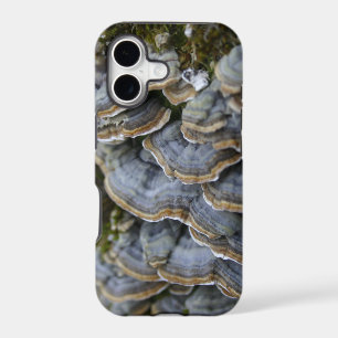 Tree Mushrooms Phone Case, iPhone SE + iPhone 5/5S