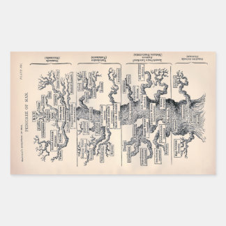 "Tree of Life" 1859 illustration by Ernst Haeckel Sticker