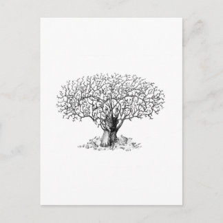 Tree of Life - animals Postcard