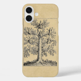 Tree of Life as Philosophy iPhone 16 Plus Case