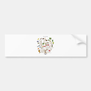 Tree Of Life Bumper Sticker