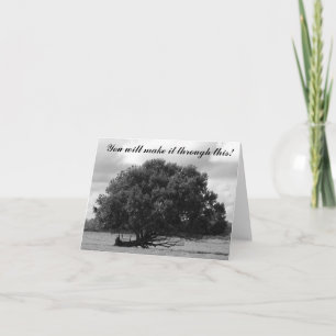 Tree of Life Card