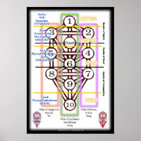 Tree of Life Diagram | All Sizes