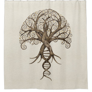 Tree of Life - Evolution