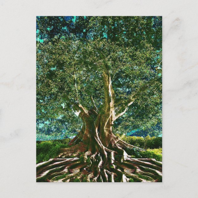 Tree of Life Green Postcard (Front)