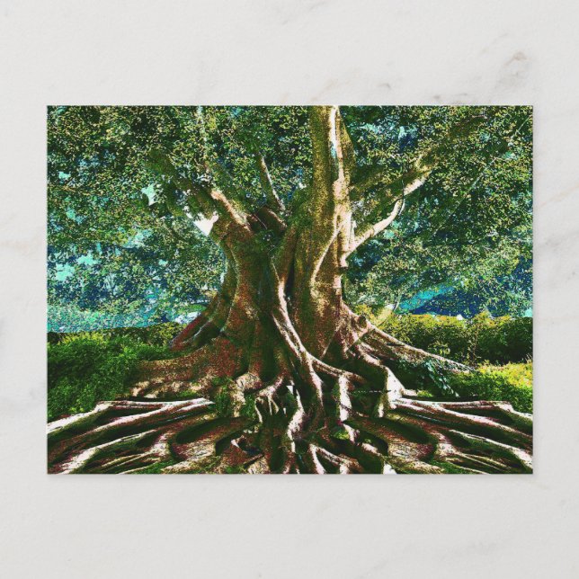 Tree of Life Green Postcard (Front)