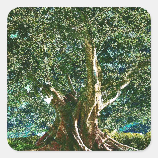 Tree of Life Green Square Sticker (Front)