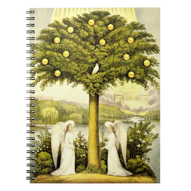 Tree of Life notebook (Front)